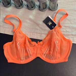 Wacoal Lingerie- 32DD